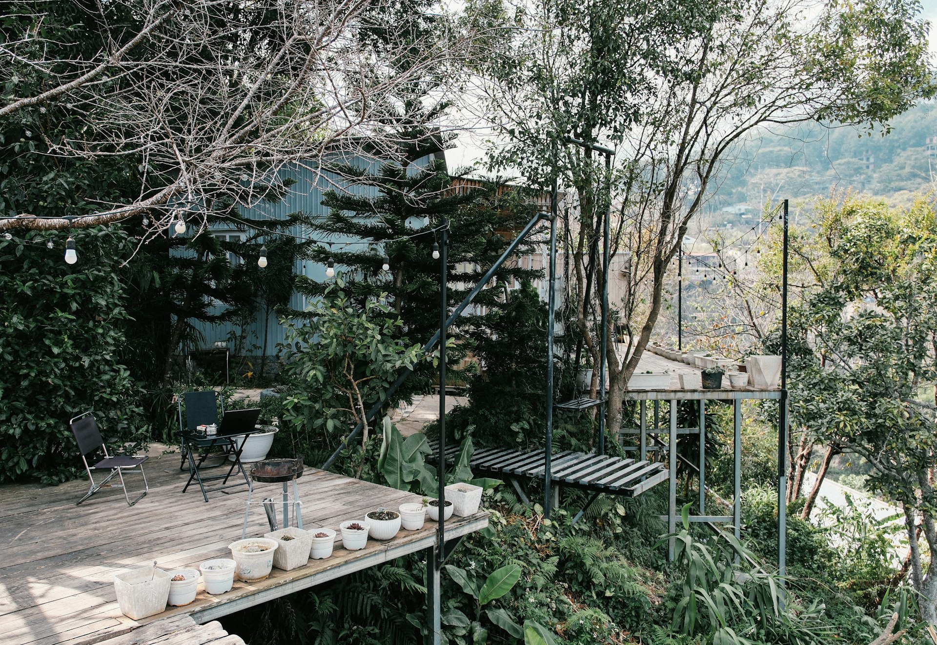 A garden edge and an outdoor space with simple planting
